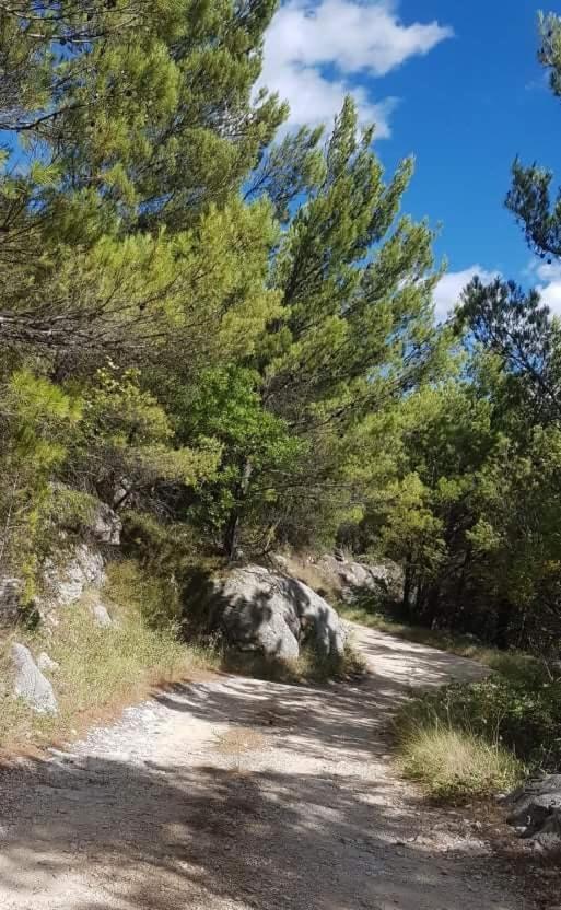 Villa Karla Planinska Kuca Baška Voda Exterior foto