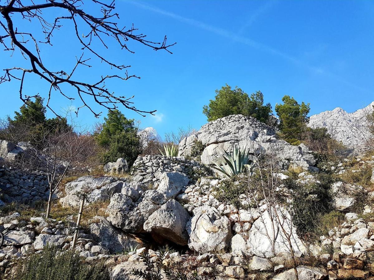 Villa Karla Planinska Kuca Baška Voda Exterior foto