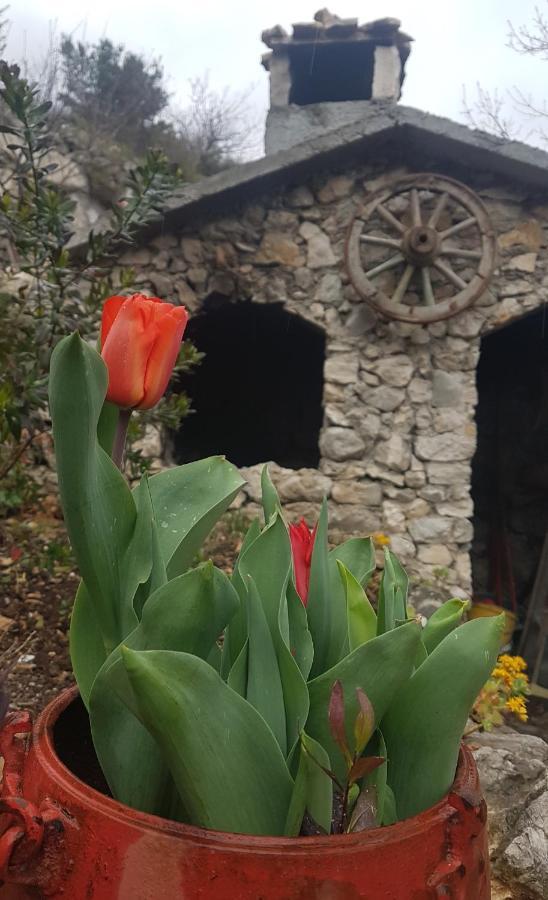 Villa Karla Planinska Kuca Baška Voda Exterior foto